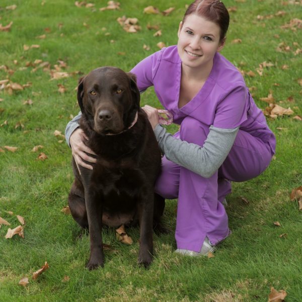 dog vet in falmouth, vet hospital in falmouth