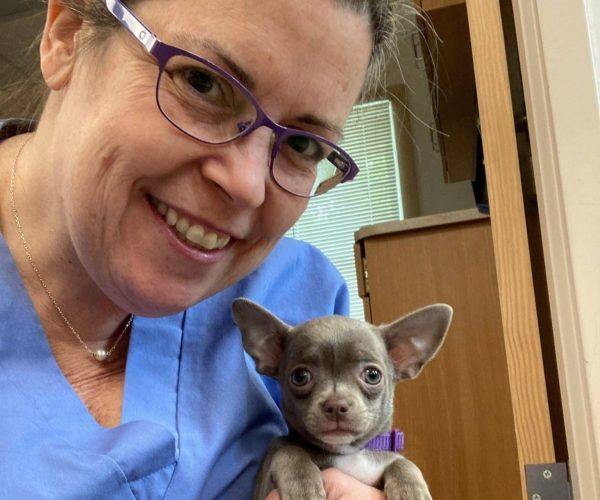 pet clinic near Martha's Vineyard, Martha's Vineyard pet clinic, trusted pet clinic near Martha's Vineyard