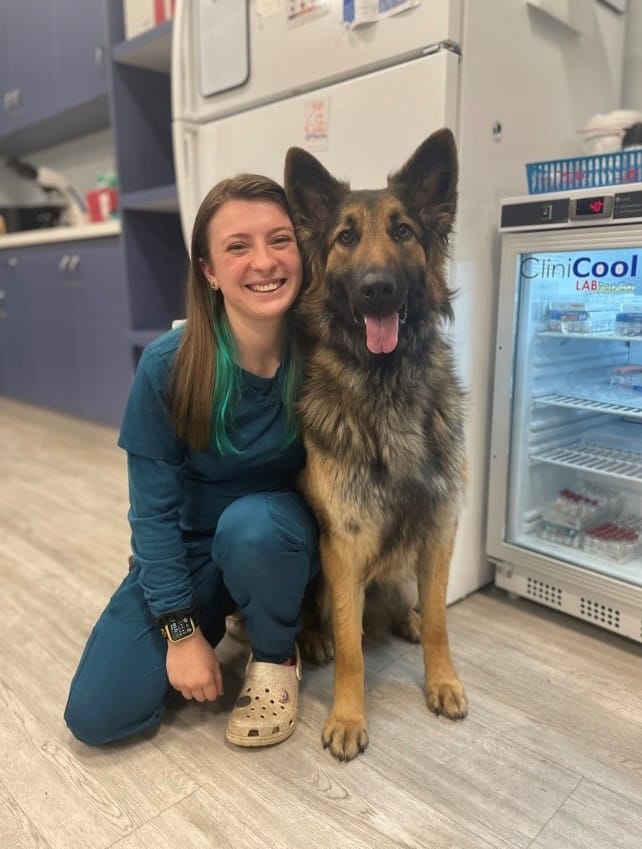 dog vet near Barnstable, veterinary care Cape Cod, urgent dog care Falmouth